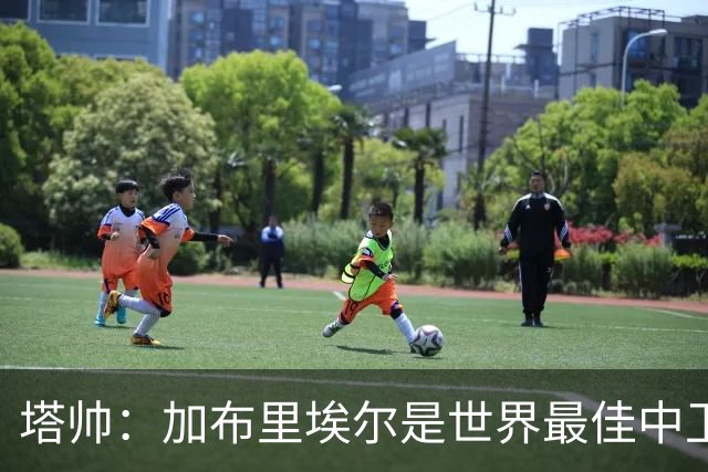 塔帅：加布里埃尔是世界最佳中卫之一，他在两个禁区的作用太强了