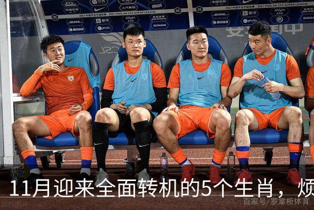11月迎来全面转机的5个生肖，烦心事慢慢消失，财富爱情接连落地
