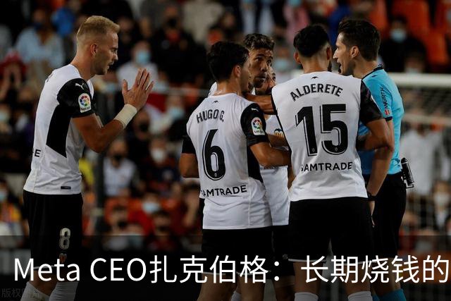 Meta CEO扎克伯格：长期烧钱的Muse和Reality Labs终于盈利在望